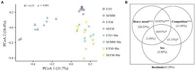 Sex-specific competition differently regulates the response of the rhizosphere fungal community of Hippophae rhamnoides–A dioecious plant, under Mn stress